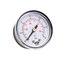 Manometer 0-6 bar 1/4" M til DAB AQUAJET-INOX hyttepumpe
